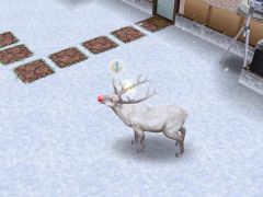 Photo 24 12 13 18 30 57