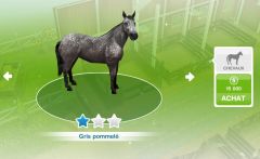 Sims Freeplay - Quête de niveau - Monture en peinture.jpg