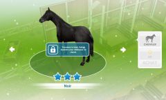 Sims Freeplay - Quête de niveau - Monture en peinture.jpg