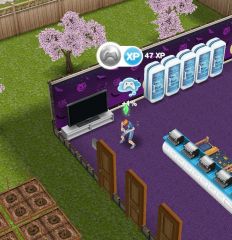 les-sims-gratuit-freeplay-maj-reves-a-long-terme-vieillissement