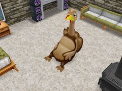 les-sims-gratuit-freeplay-pouf-poire-dinde
