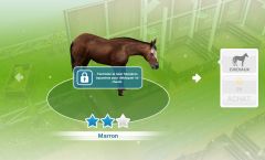 Sims Freeplay - Quête de niveau - Monture en peinture.jpg