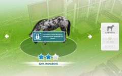 Sims Freeplay - Quête de niveau - Monture en peinture.jpg