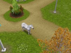 les-sims-gratuit-la-licorne-cachee
