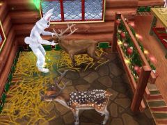 les-sims-gratuit-freeplay-rennes