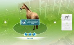 Sims Freeplay - Quête de niveau - Monture en peinture.jpg
