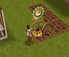 Sims Freeplay - Quête de niveau - L'argent pousse sur les arbres.jpg