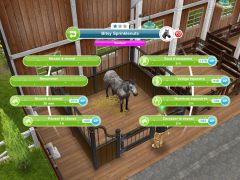 Sims Freeplay - Quête de niveau - Monture en peinture.jpg
