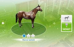 Sims Freeplay - Quête de niveau - Monture en peinture.jpg