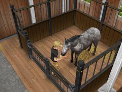 Sims Freeplay - Quête de niveau - Monture en peinture.jpg