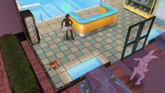 les-sims-gratuit-freeplay-comme-un-poisson-dans-leau