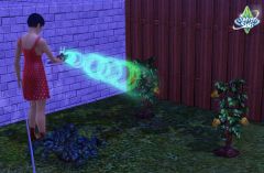 Sims 3 University Competence Science analyser plante