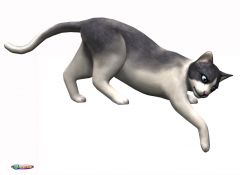 pets 8