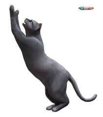 pets 7