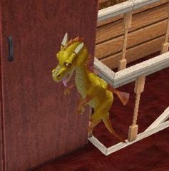 Dragon Cristal
