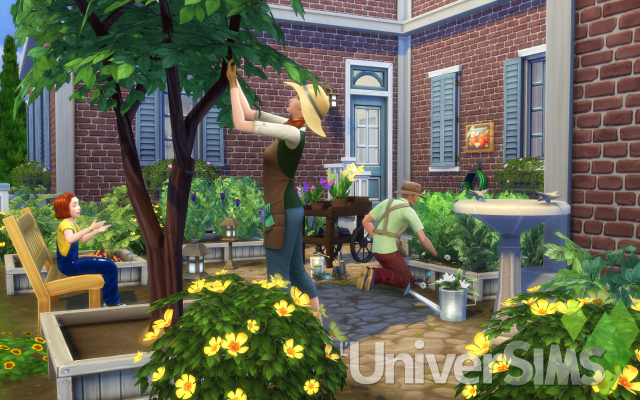 med_gallery_5776_221_127213.png