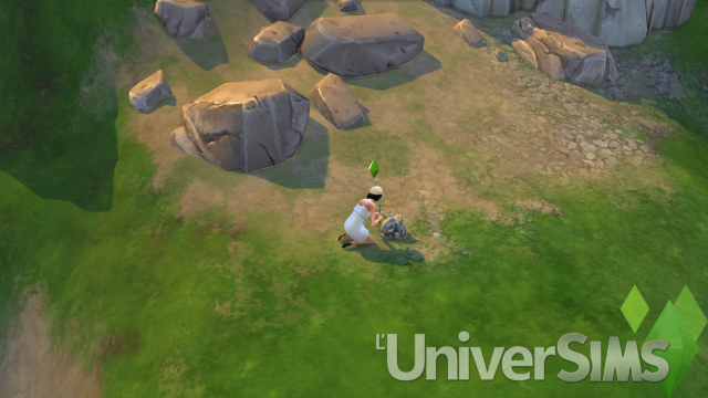 med_gallery_5776_221_2093499.png