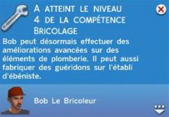 Brico N4