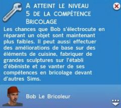 Brico N5
