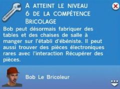 Brico N6