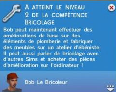 Brico N2