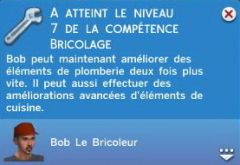 Brico N7