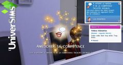 competence enfant N4 Stars