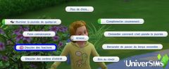 competences enfants facultes mentales N5 fractions1