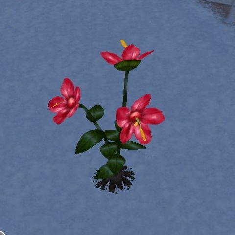 med_gallery_88_301_12966.jpg
