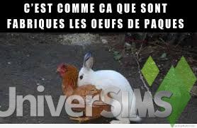 lapin comment