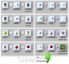 Sims 4 Competence jardinage niveau 7 02