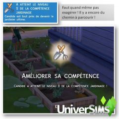 Sims 4 Competence jardinage niveau 2 01