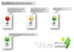 Sims 4 Competence jardinage niveau 1 02
