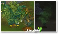 Sims 4 Competence jardinage niveau 1 04