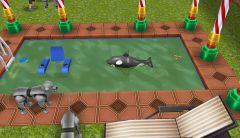 20140415 - comment jouer avec le chien quand tous les frisbees sont dans la piscine.... ? :(