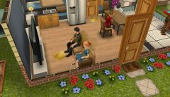 20140214 - chez un voisin qui a un peu laissé tomber ;)