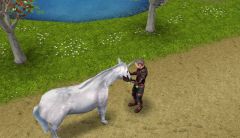 20140524 - Oui, C'est bien une Licorne ! Pizza Touvo !!!