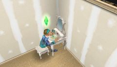 20140609 - un grand coquet !!