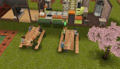 20141230 - Tables à picnic du terrain de plantation