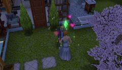 20140430 - ça y est, il a dit 'oui'