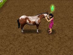 Cindy à l'équitation