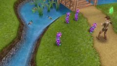 IMG 4950[1]