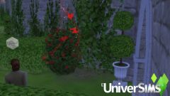 Sims4 Fanday Vivre Ensemble 18