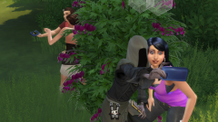 Les Sims 4 Vivre ensemble fan day Get Together