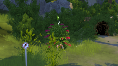 Les Sims 4 Vivre ensemble fan day Get Together
