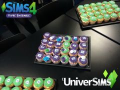 luniversims fanday novembre 2015 03