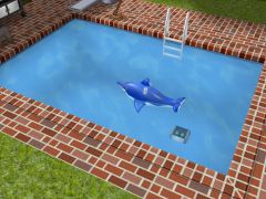 jouet gonflable