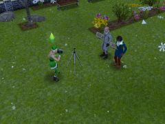 Jingle Bells rock 