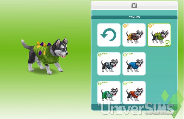 Sims Freeplay - Quête de découverte - L’Odyssée du chiot.jpg