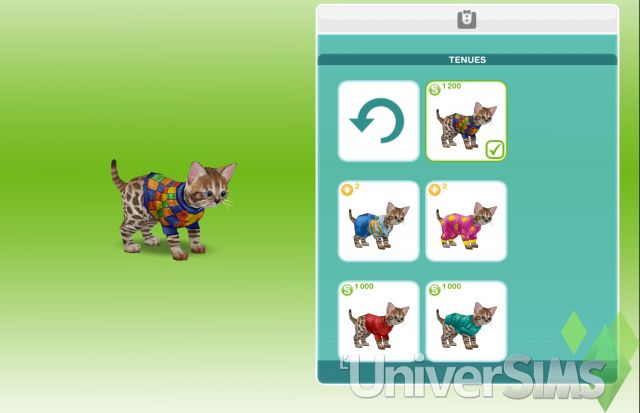 Sims Freeplay - Quête de découverte - L’Odyssée du chiot.jpg